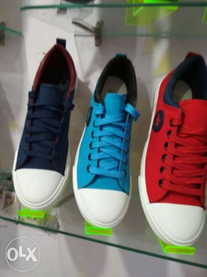 Converse Sneakers | ExBasket